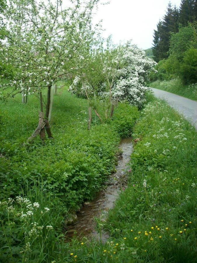 Gasthof Susewind Antfeld 外观 照片